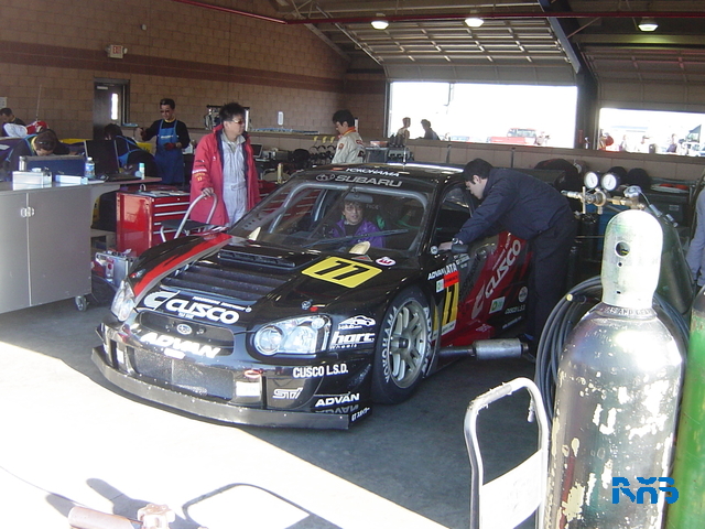 DSC03558.JPG