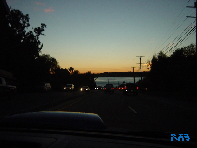 DSC03594.JPG