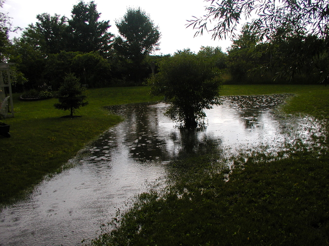 P5200008.JPG
