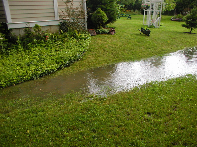 P5200009.JPG
