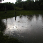 P5200010.JPG