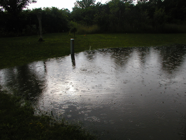 P5200010.JPG