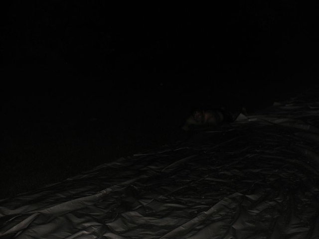 IMG_5643.JPG