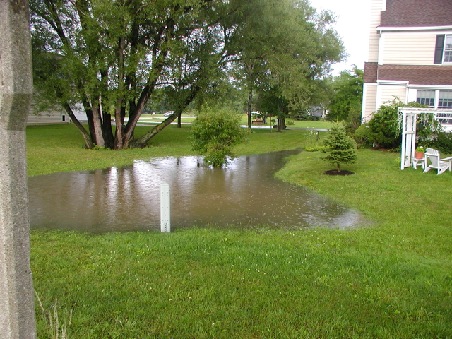 P5200014.JPG