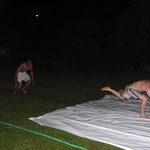 IMG_5680.JPG
