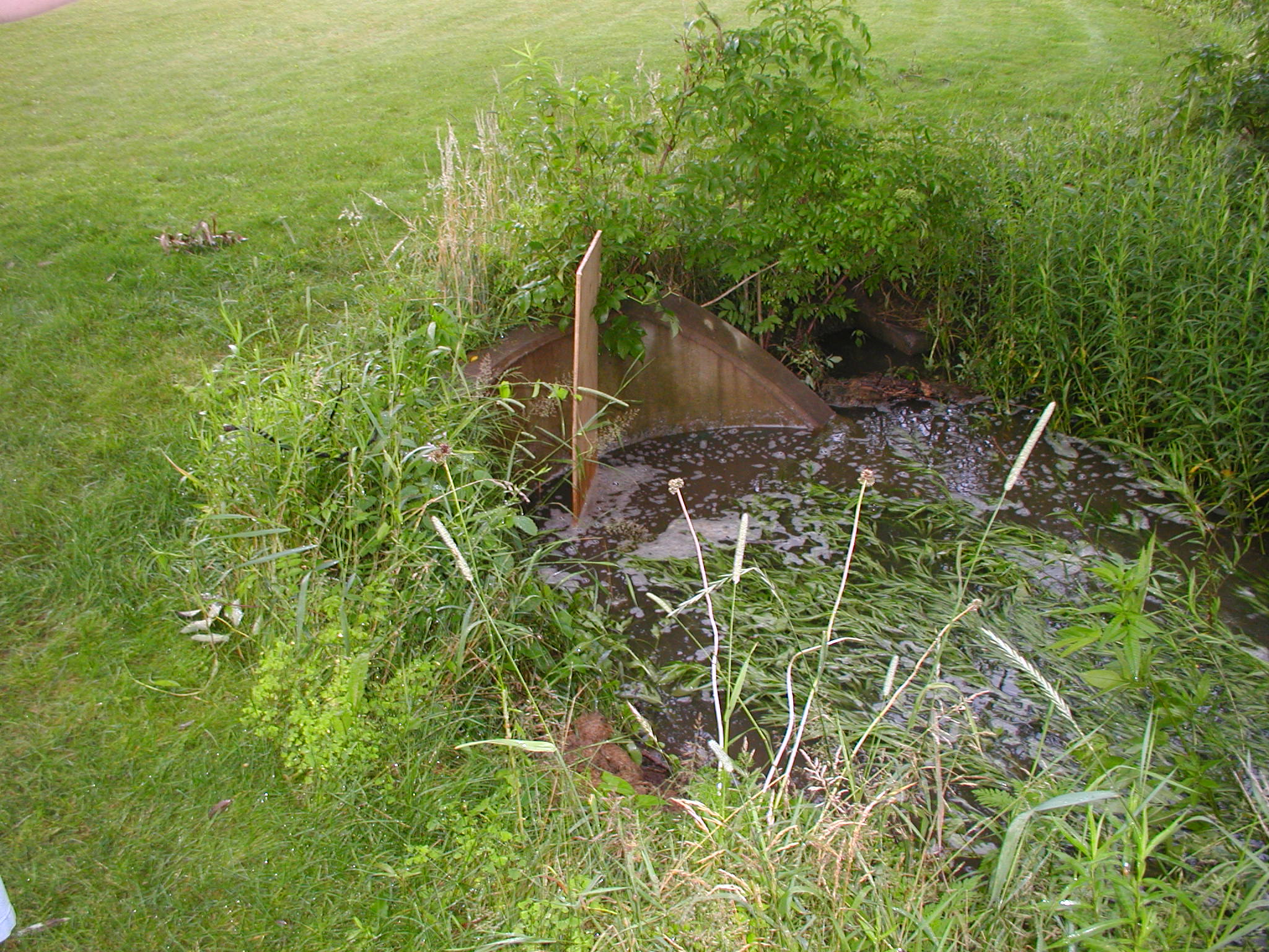 P5200001.JPG