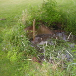 P5200001.JPG