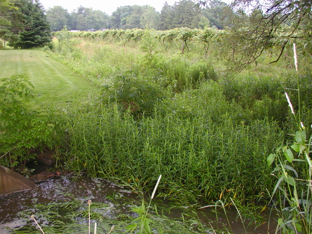 P5200002.JPG