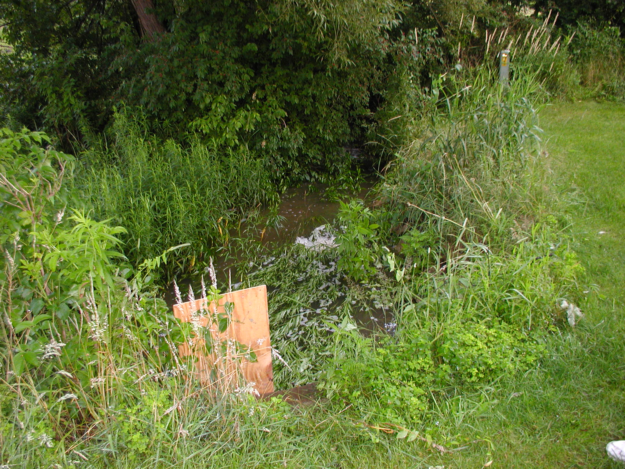 P5200003.JPG