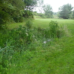 P5200005.JPG