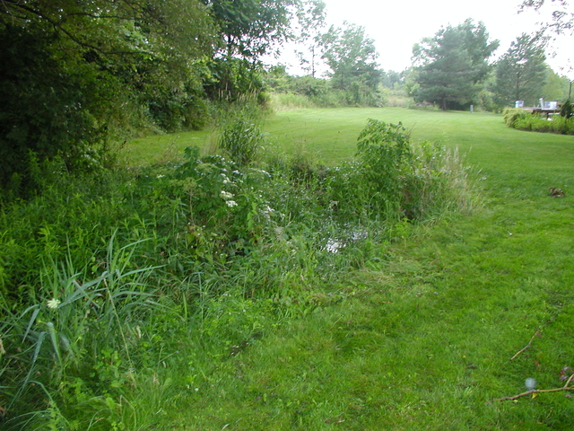 P5200005.JPG
