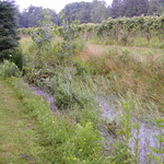 P5200006.JPG