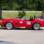 Are Cobras the natural predators of orange cones?
