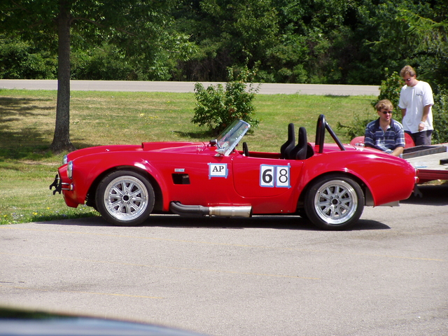 Are Cobras the natural predators of orange cones?
