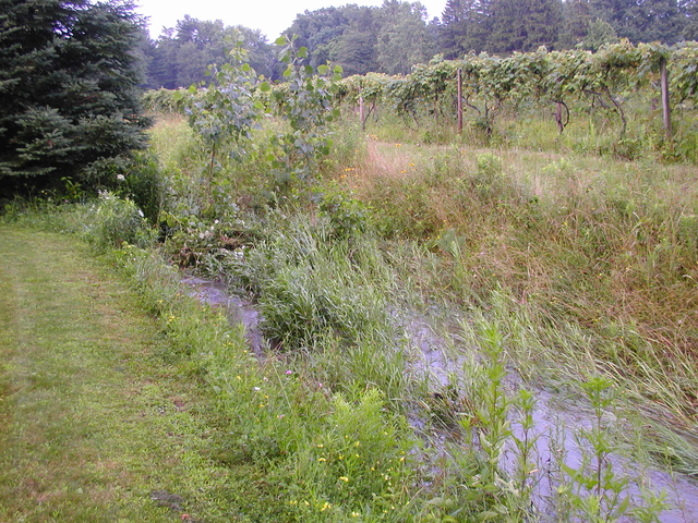 P5200006.JPG