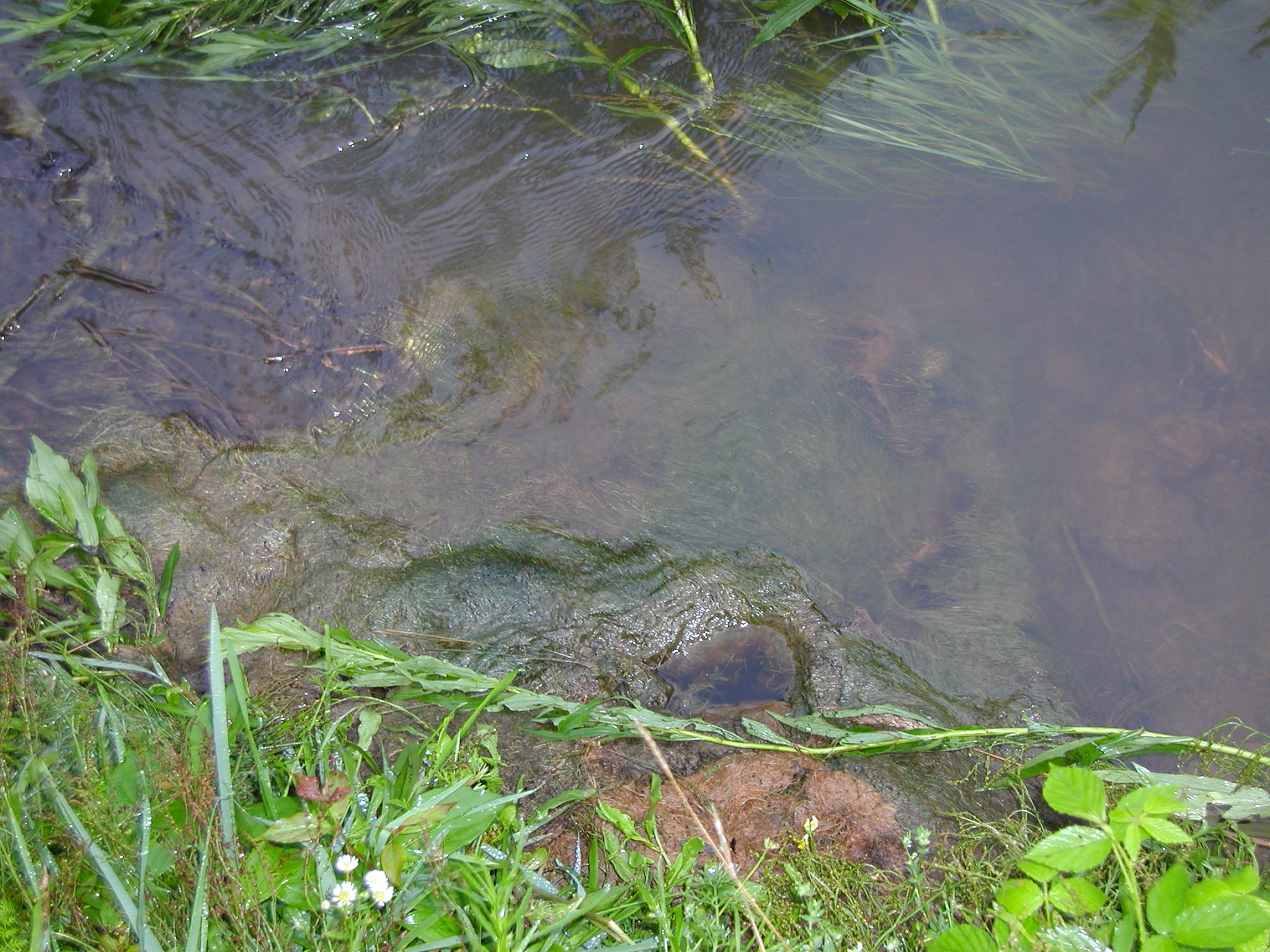 P5200007.JPG