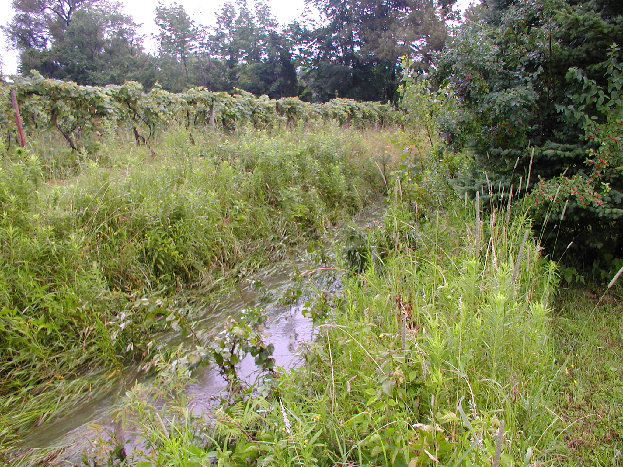 P5200010.JPG