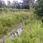 P5200010.JPG