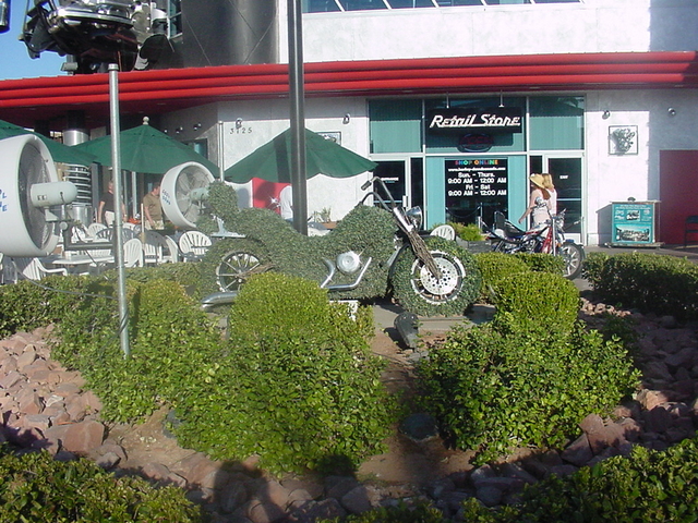 DSC00132