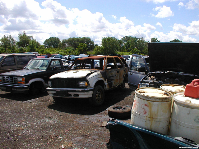 Picture 003.jpg