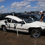 Picture 005.jpg