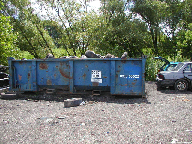 Picture 006.jpg