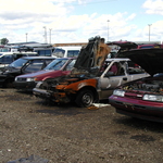 Picture 010.jpg