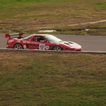 IMG_5016.JPG
