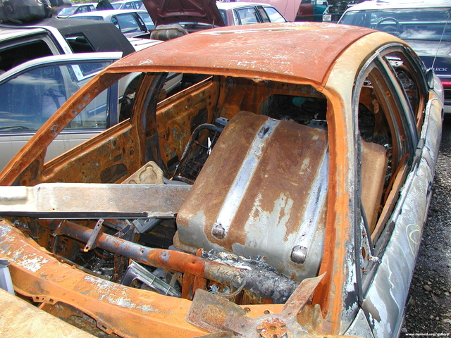Picture 013.jpg