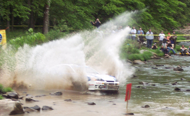 tiburonsplashweb.jpg