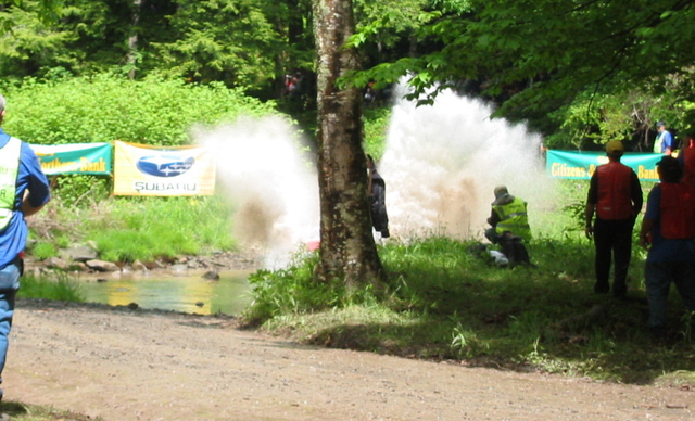v8s10 water 2