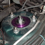DSC00080.JPG