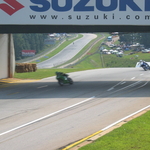 IMG_3559.JPG