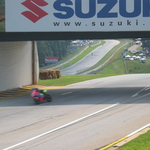 IMG_3563.JPG