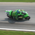 IMG_3531.JPG