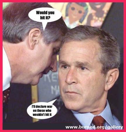 bushwouldhitit.jpg
