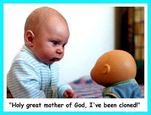 cloned.jpg