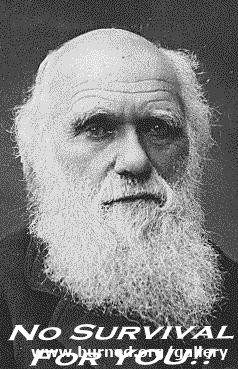 darwin-vi.jpg