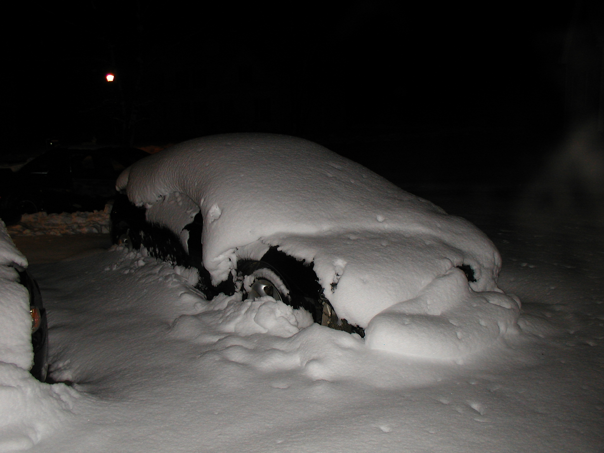 P2040024.JPG