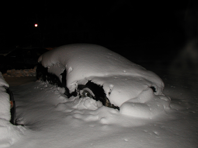 P2040024.JPG