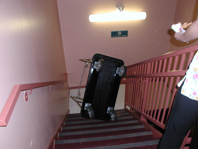 Picture 006.jpg