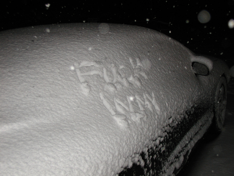 Picture 023.jpg