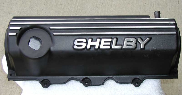 shelby.jpg