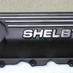 shelby.jpg