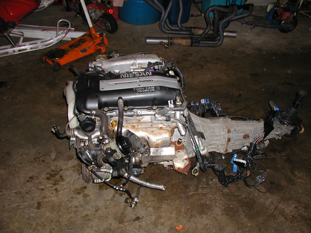 P1010020.JPG
