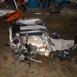 P1010020.JPG