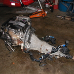 P1010021.JPG