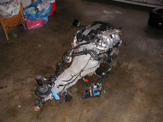 P1010022.JPG
