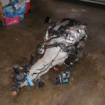 P1010022.JPG