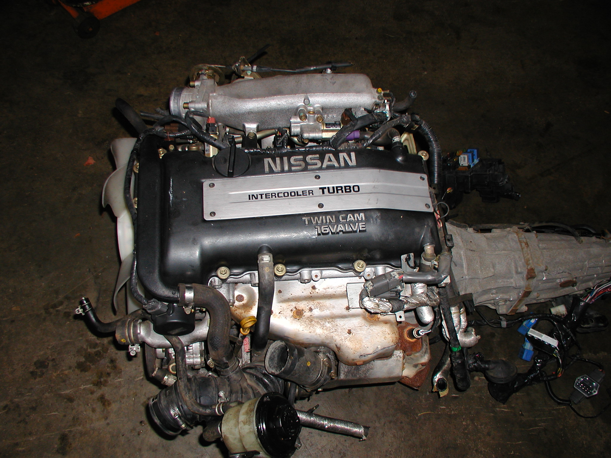 P1010024.JPG